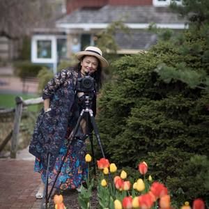 Meet your Posher, Lin